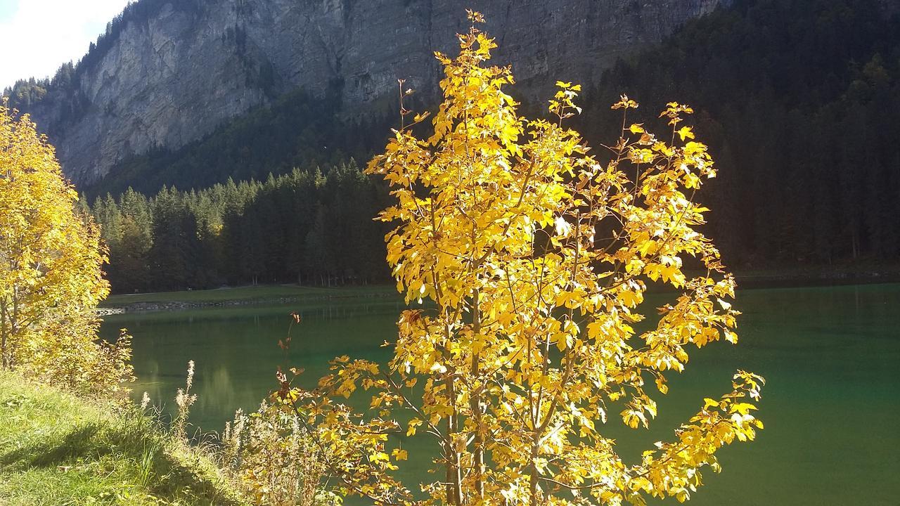 Logis Hotel Les Sapins Montriond Exterior foto